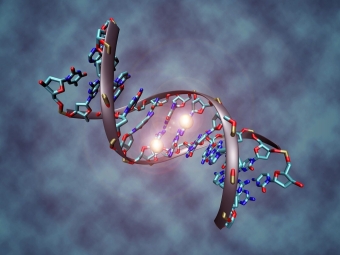 This image shows a DNA molecule that is methylated on both strands on the center cytosine. DNA methylation plays an important role for epigenetic gene regulation in development and cancer